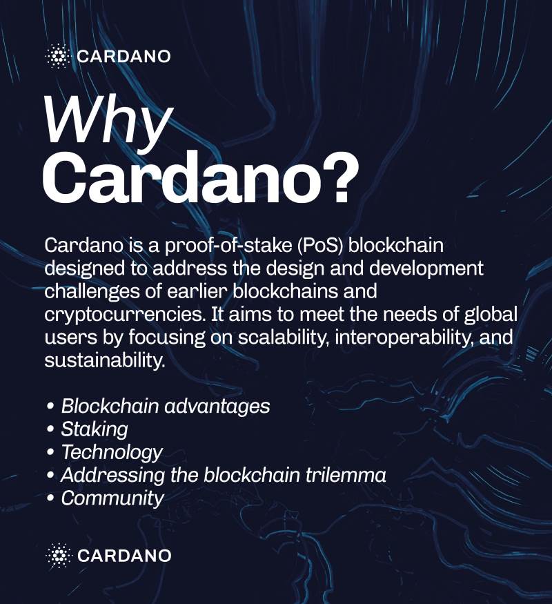 Why Cardano is the "sustainable blockchain