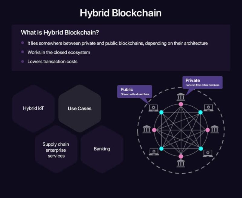 Hybrid Blockchains