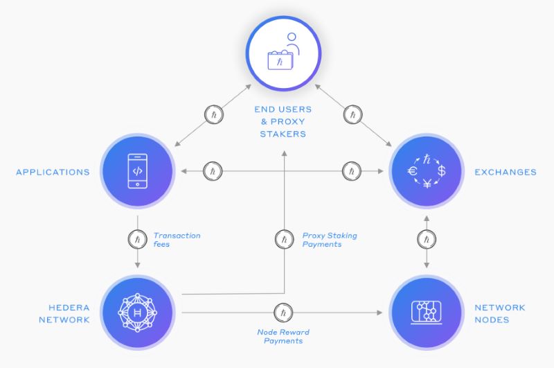 Is hedera hashgraph public networks?