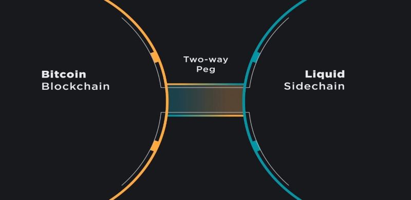 Blockchain Scalability Solutions 