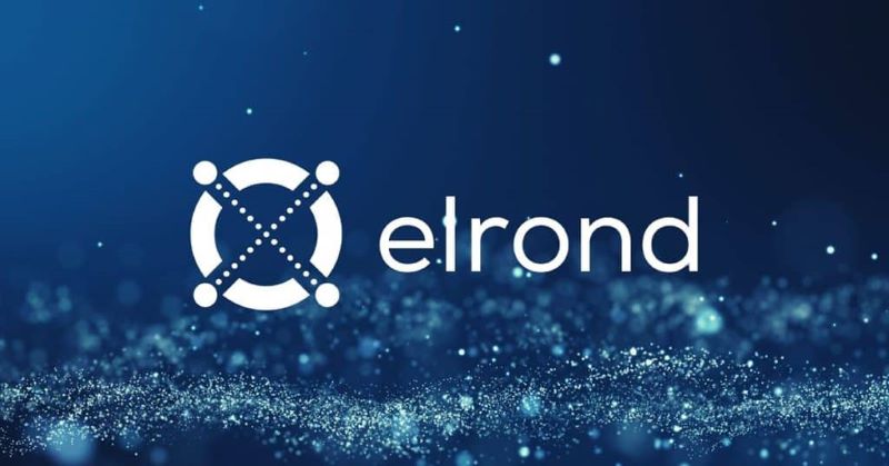 Elrond: Affordable Transaction Power