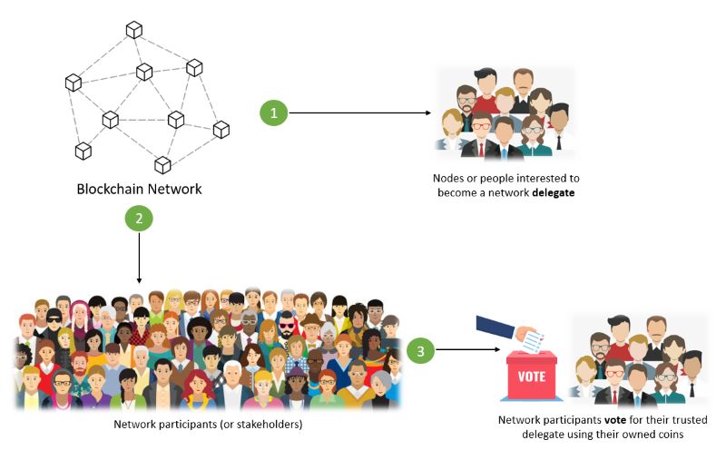 Delegated Proof of Stake (DPoS)