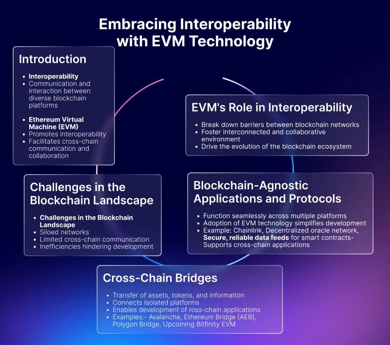 EVM's Impact on Blockchain Development and Adoption