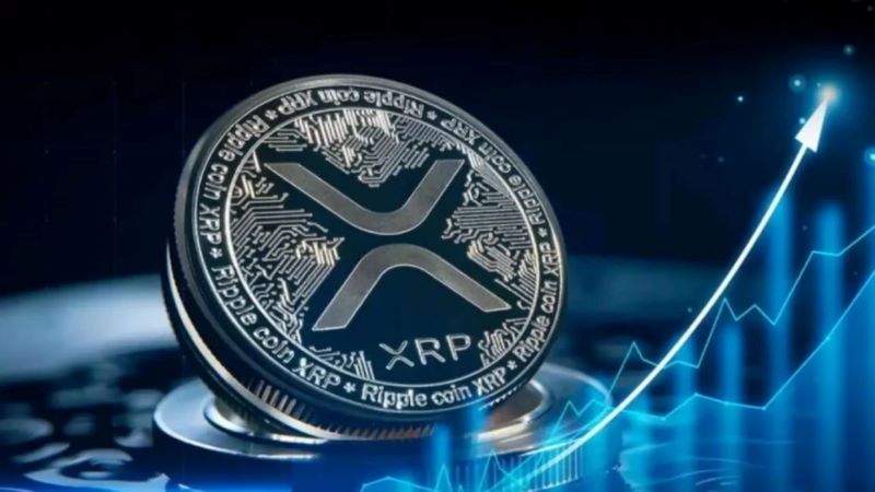 Diverse Applications of XRP Ledger