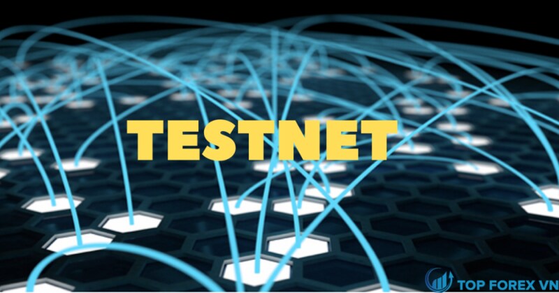 How Testnets work