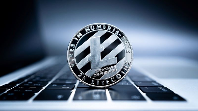 Litecoin investment guide