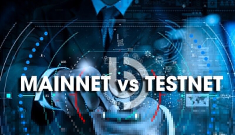 Mainnet vs Testnet comparison