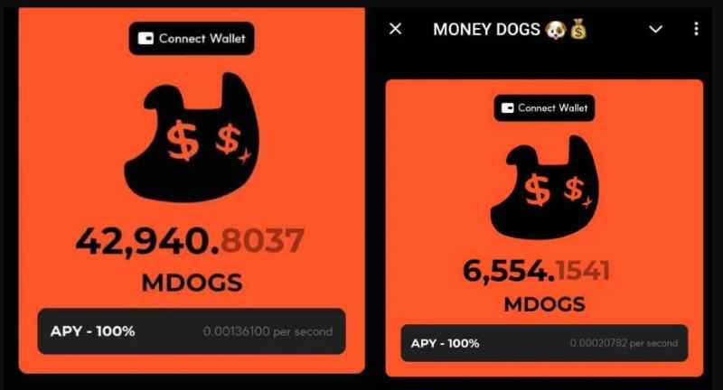 Money dogs airdrop