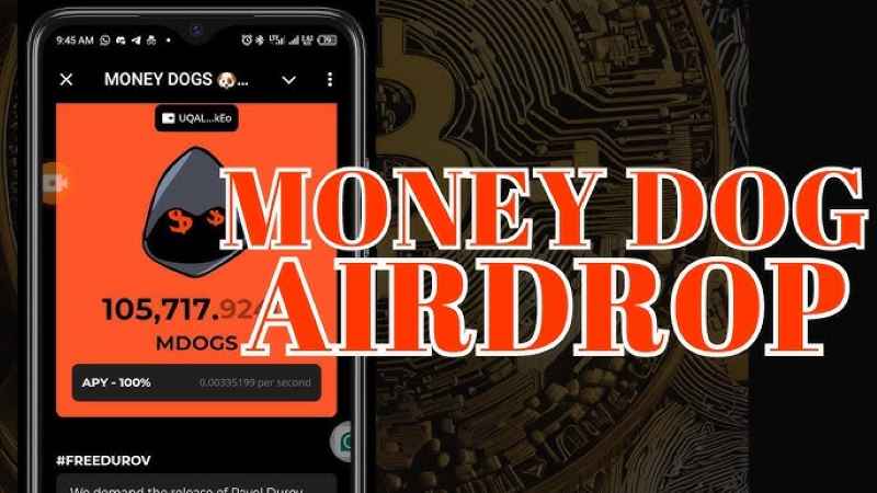 Money dogs airdrop