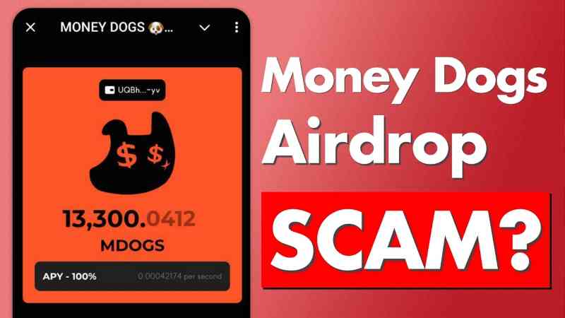 Money dogs airdrop