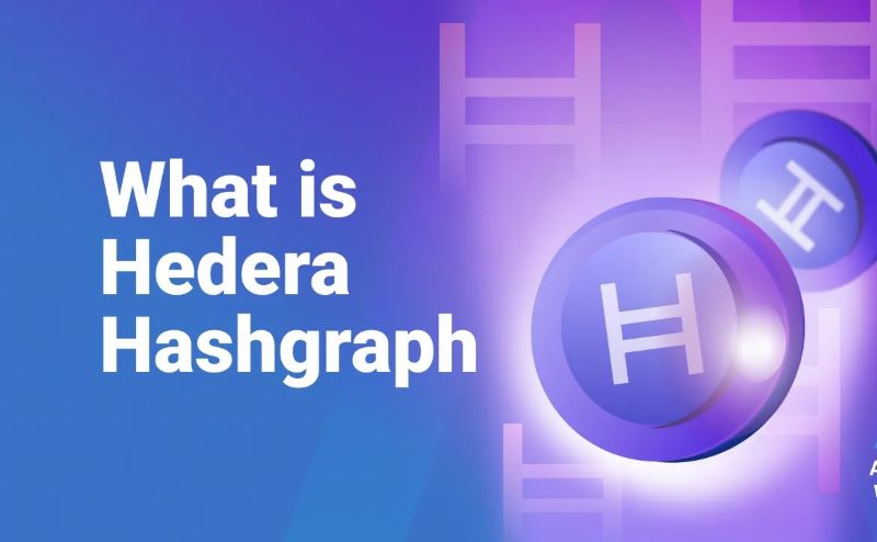 What is Hedera Hashgraph? Is hedera hashgraph public networks?