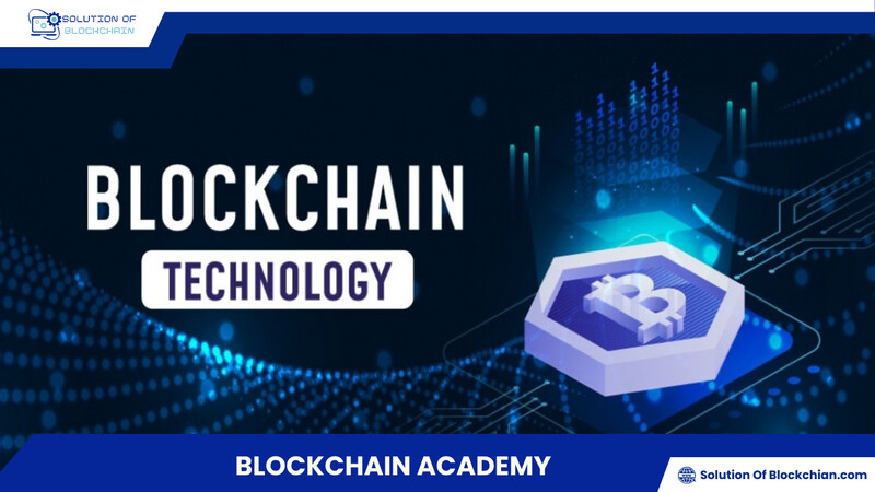 Blockchain academy: The ultimate choice for beginners