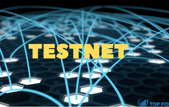 What is Testnet? Learn about Blockchain testnet