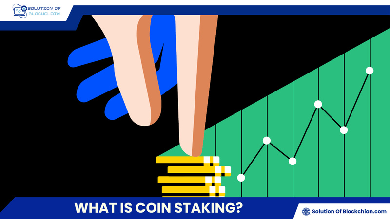 What is coin staking? Guide to Staking for beginners