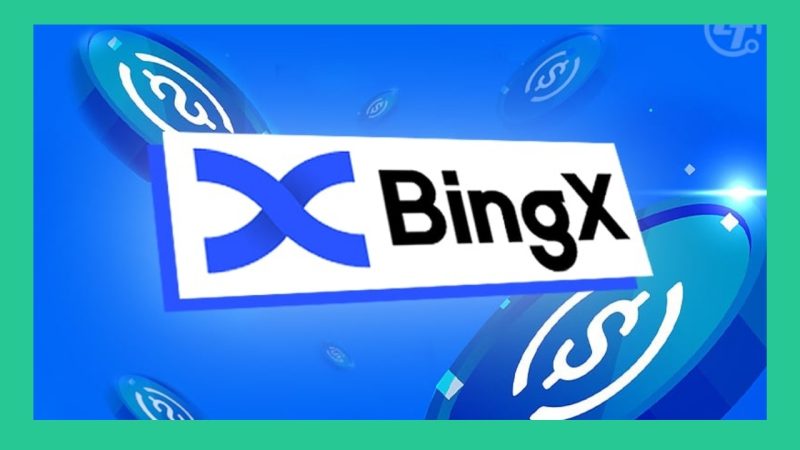 Information about BingX exchange