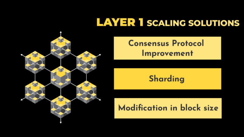 Blockchain Layer 1